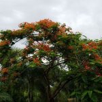 article image - 